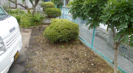 草刈り・庭木の剪定